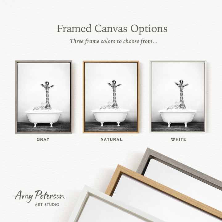 three framed canvas options, each featuring a black and white photograph of a giraffe in a bathtub. The options include a gray frame, a natural frame, and a white frame.