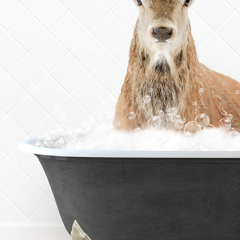 a deer is sitting in a bathtub full of bubbles