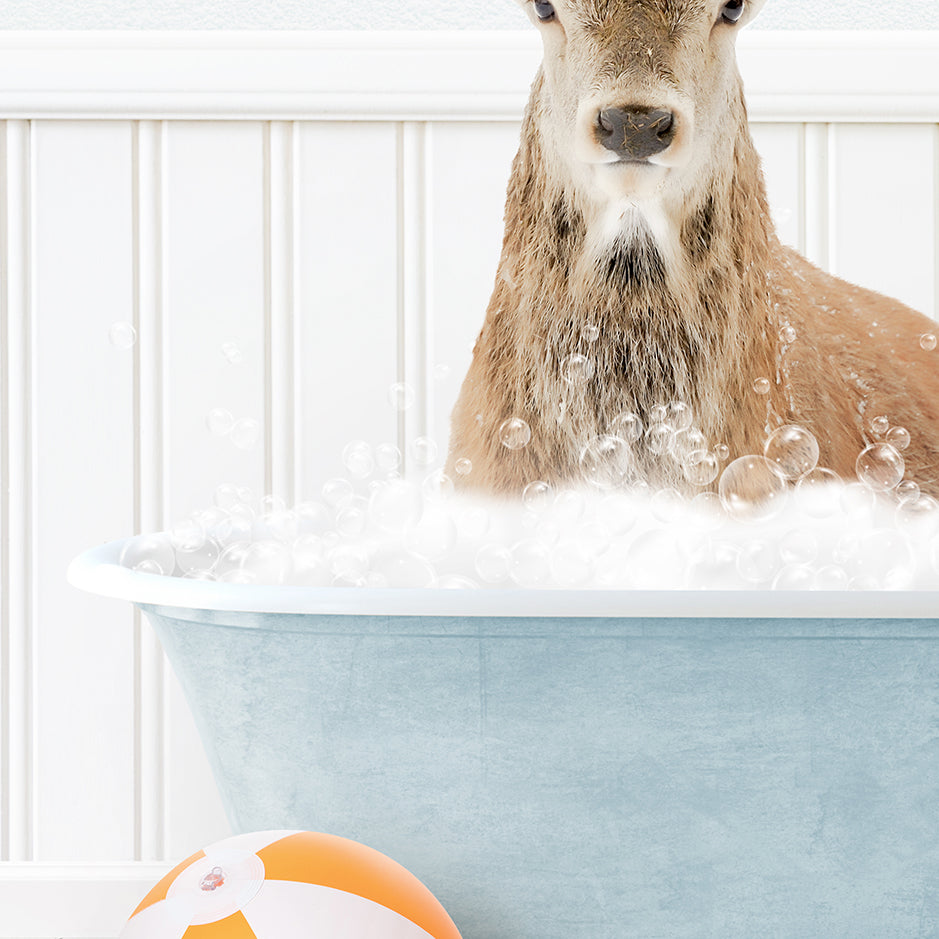 a deer in a bathtub with bubbles and a beach ball