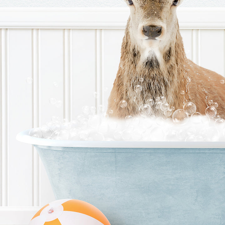 a deer in a bathtub with bubbles and a beach ball