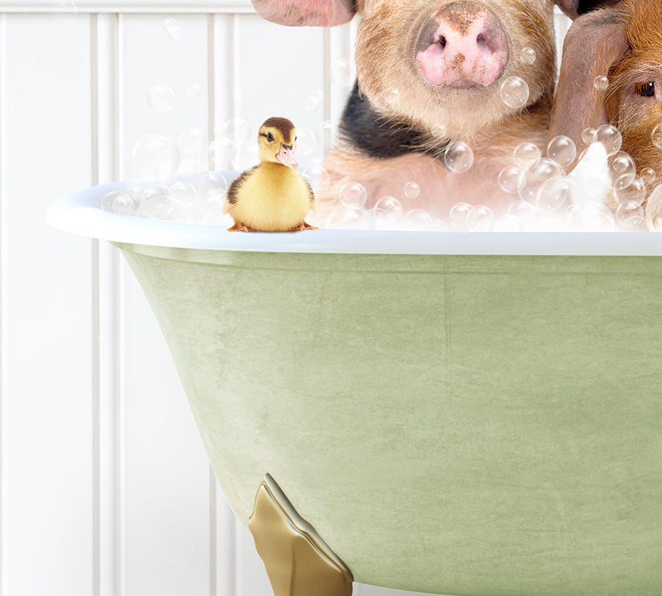 two dogs and a rubber duck in a bathtub