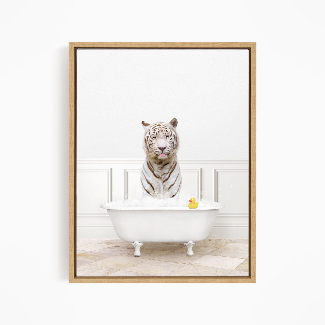 A white tiger is sitting in a white bathtub filled with water, with a rubber duck floating nearby.