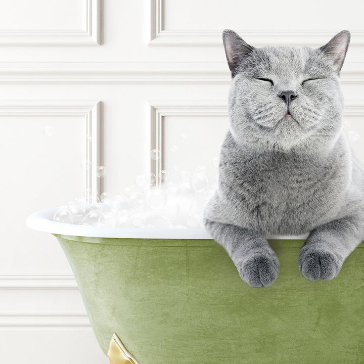 a gray cat sitting in a green bath tub