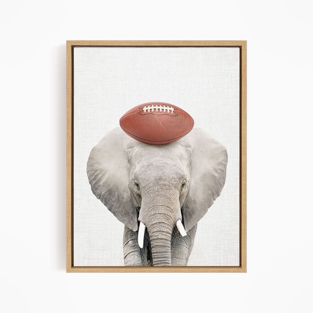 A gray elephant holding a red football on its head.