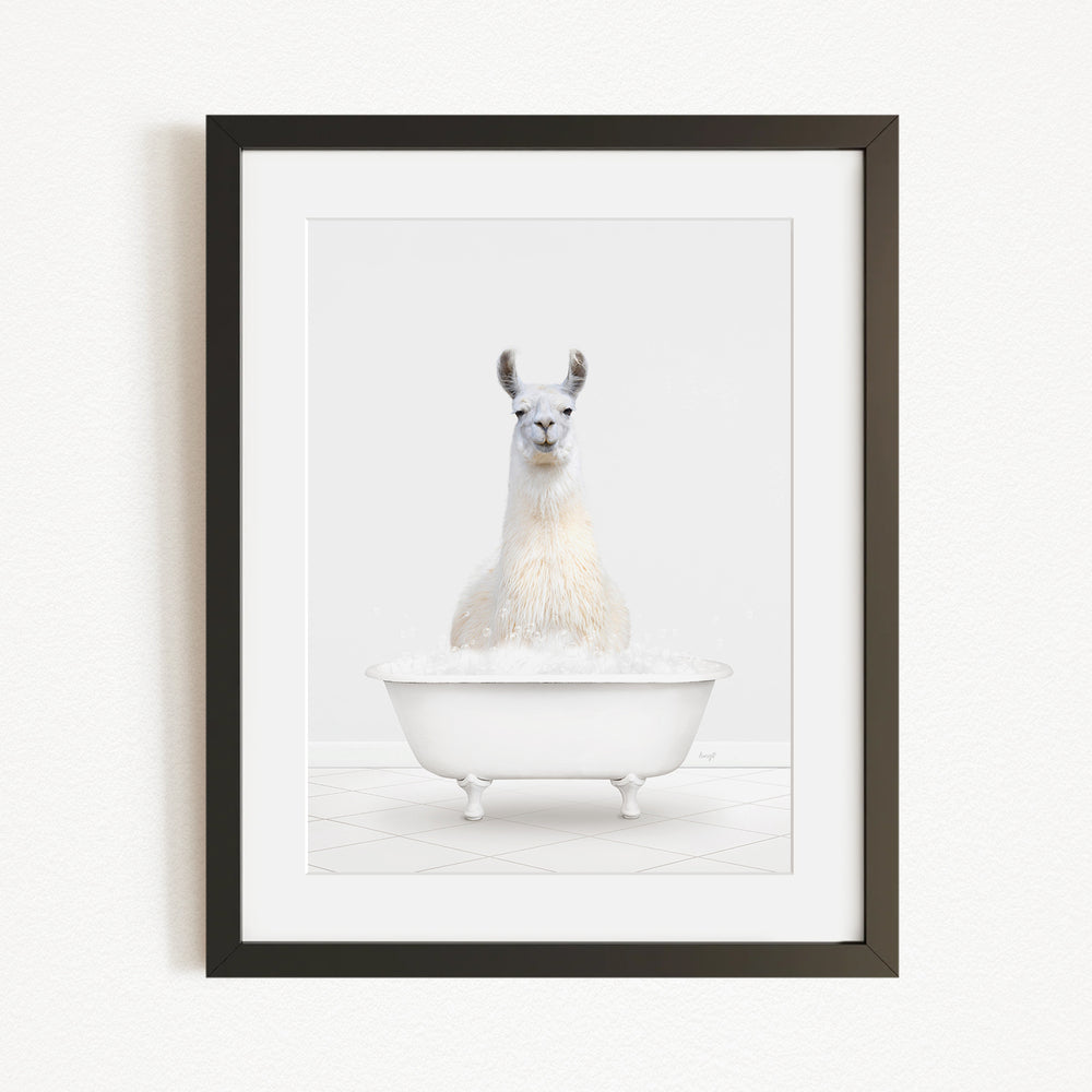 A white llama sitting in a white bathtub filled with bubbles, as depicted in the framed image.