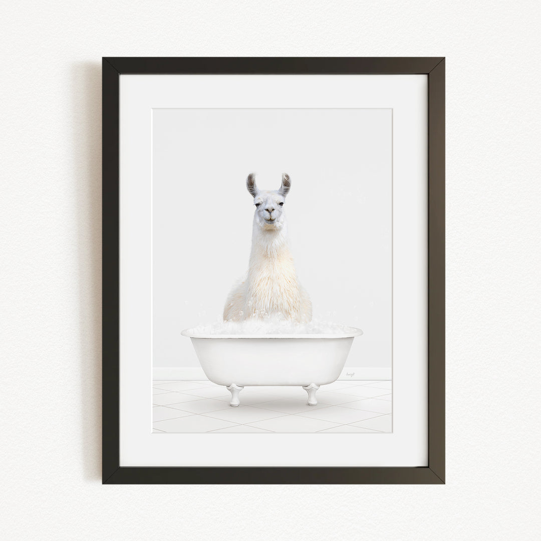A white llama sitting in a white bathtub filled with bubbles, as depicted in the framed image.