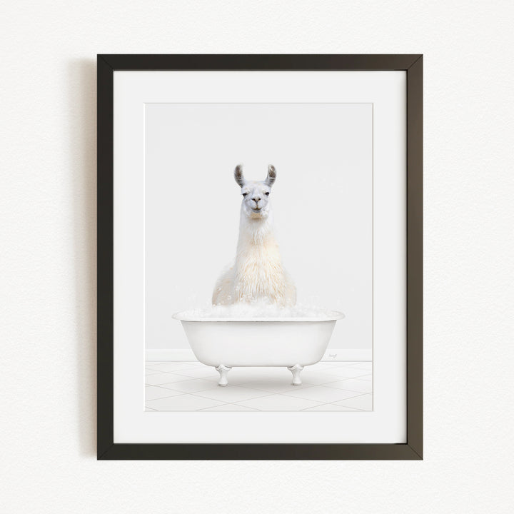 A white llama sitting in a white bathtub filled with bubbles, as depicted in the framed image.