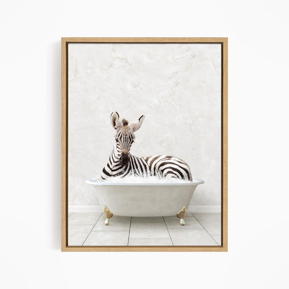 A zebra is sitting in a white bathtub against a white marble wall.