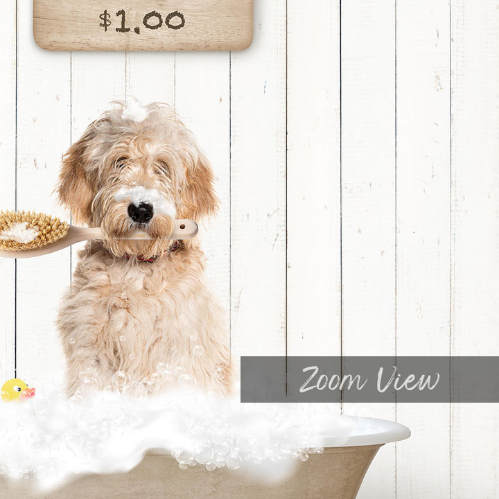 A fluffy golden retriever dog sitting in a bathtub, holding a wooden brush in its mouth, with a sign above the dog indicating the price of $1.00.