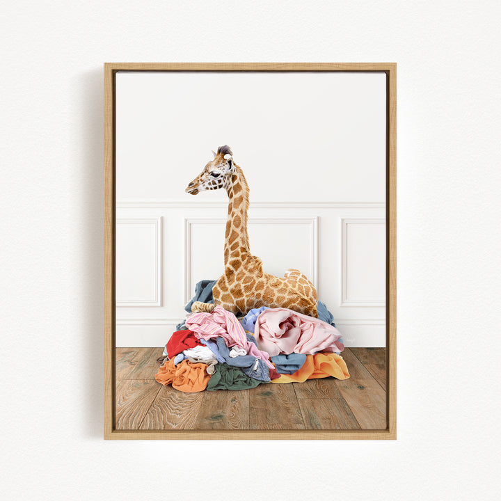 A giraffe standing on a pile of clothes in a room.