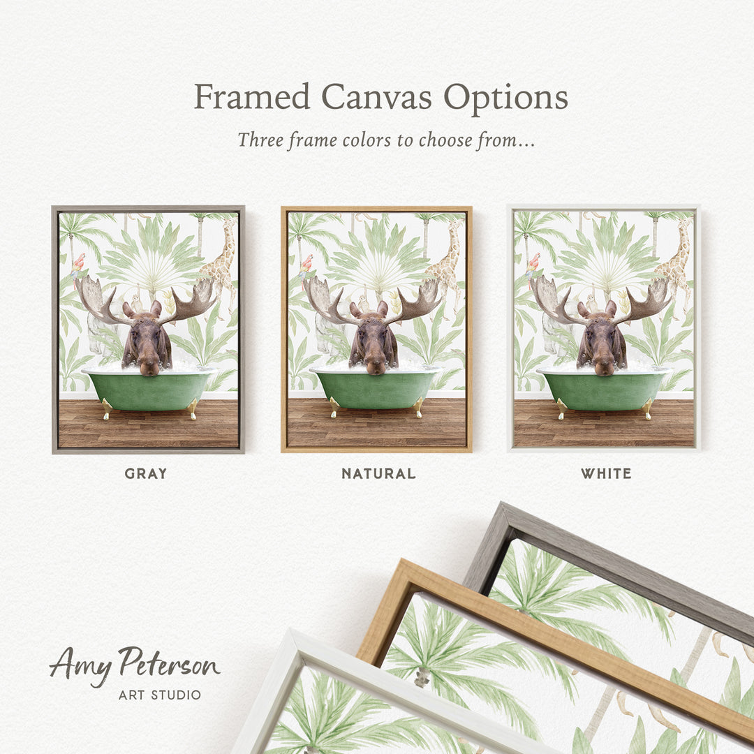 three framed canvas options featuring a moose in a bathtub, each with a different frame color: gray, natural, and white.
