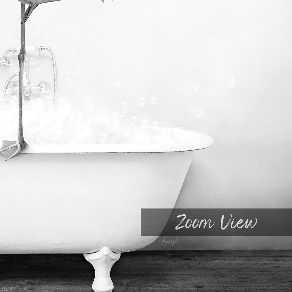 A white claw-foot bathtub filled with bubbles, with the text "Zoom View" and "Anypt" written below it.