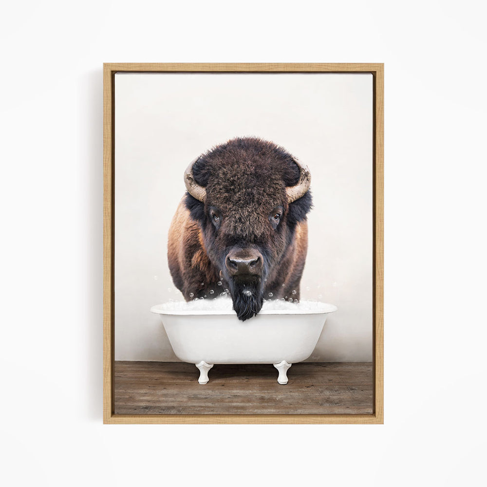 A buffalo with a black beard is standing in a white bathtub, looking directly at the camera.