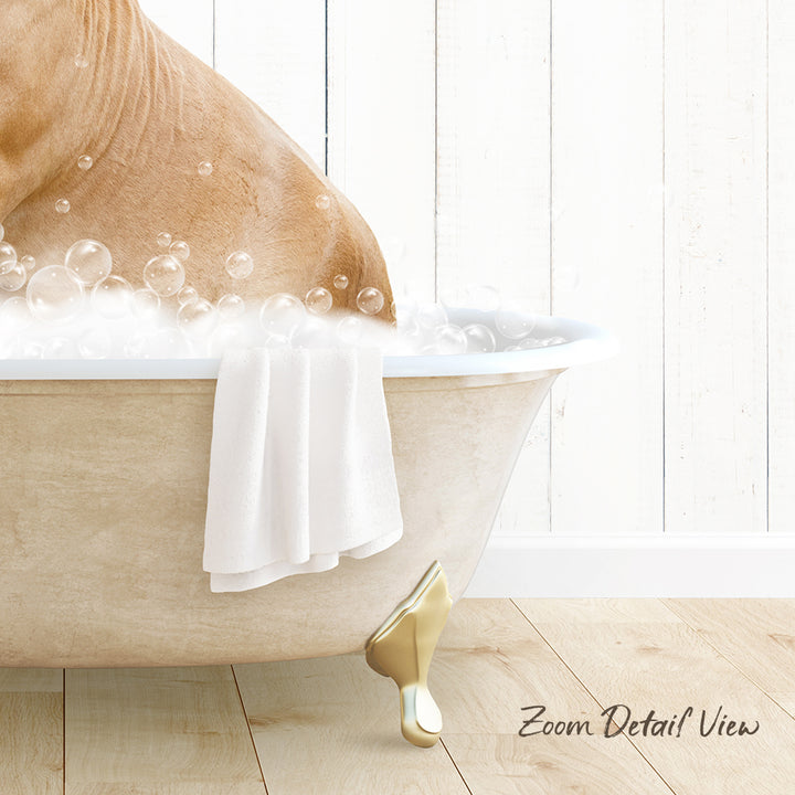 A dog is sitting in a bathtub filled with bubbles, with a towel draped over the side and a wooden floor visible in the background.
