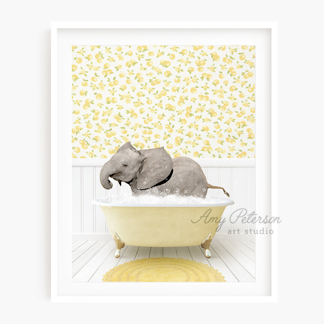 a picture of an elephant in a bathtub