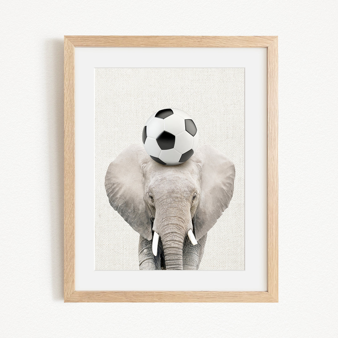 A framed image of an elephant balancing a soccer ball on its head.