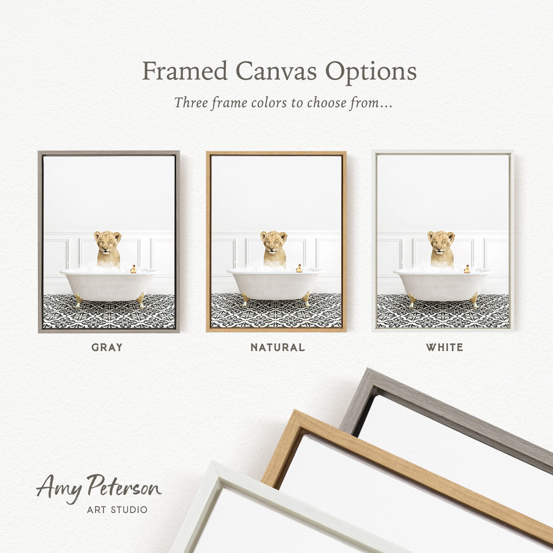The image is a framed canvas option showcasing three different frame colors: gray, natural, and white. The canvas features a lion sitting in a bathtub, with three distinct images of the same scene presented in each frame.