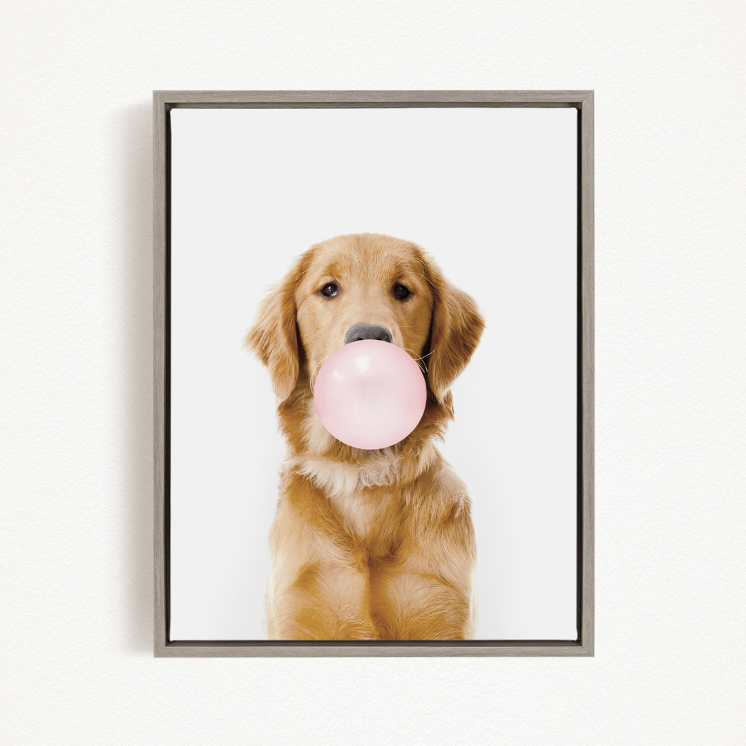 A golden retriever dog is sitting on a white background and blowing a pink bubble with its mouth.