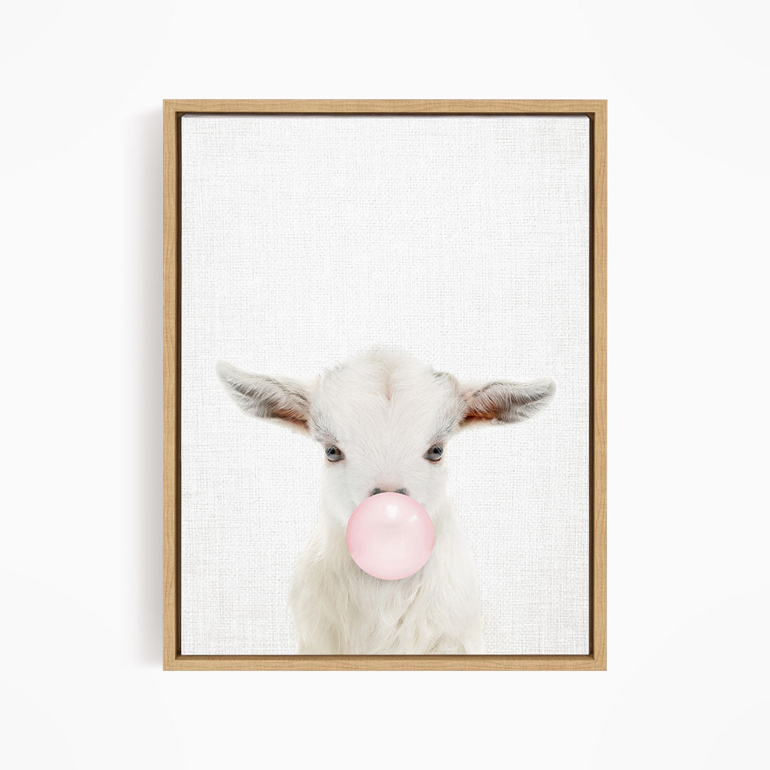 A white goat with pink bubble gum blowing in its mouth is the main subject of the image.