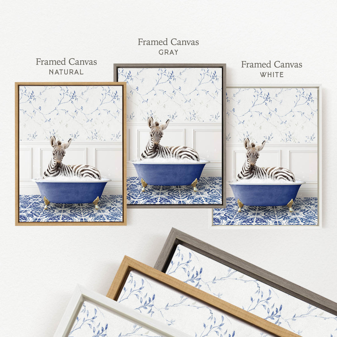 three framed prints of a zebra sitting in a blue bathtub, each with a different frame color: natural, gray, and white.