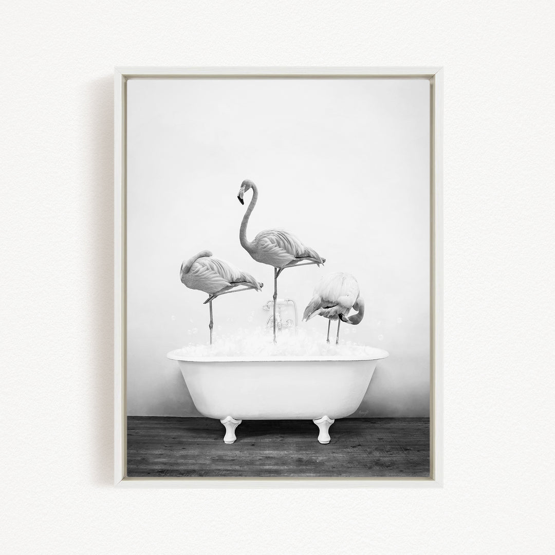A black and white photograph of three flamingos standing in a white bathtub filled with water.