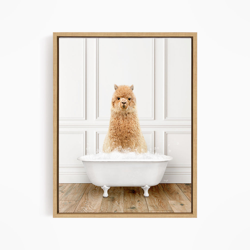 A fluffy alpaca sits in a white bathtub filled with bubbles, looking directly at the camera.