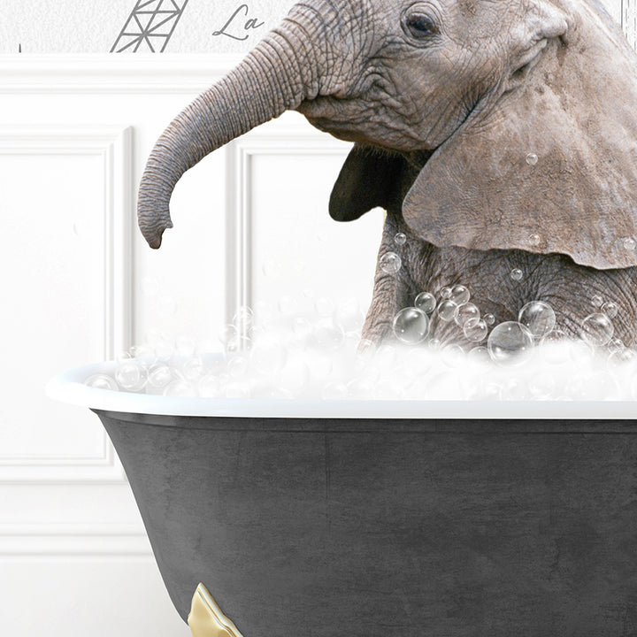 a baby elephant in a bathtub with bubbles