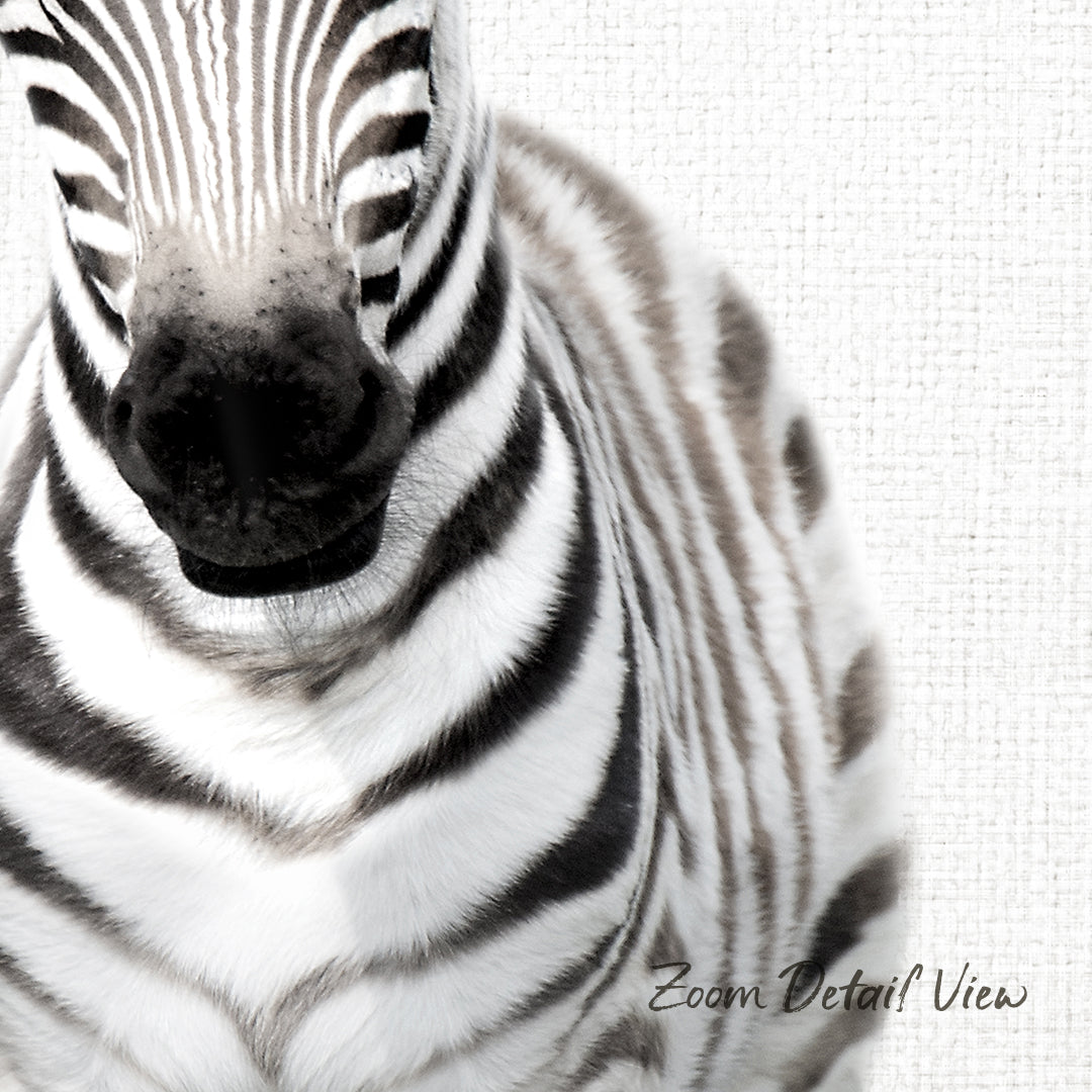 A close-up of a zebra's head, showcasing its distinctive black and white striped pattern.