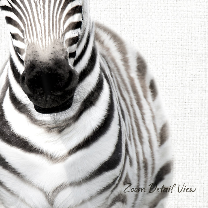 A close-up of a zebra's head, showcasing its distinctive black and white striped pattern.