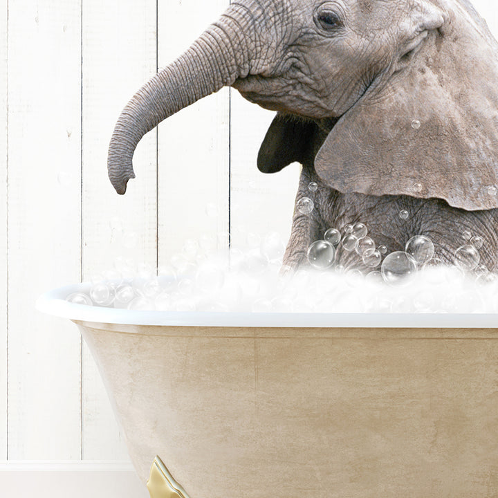 a baby elephant in a bathtub with bubbles