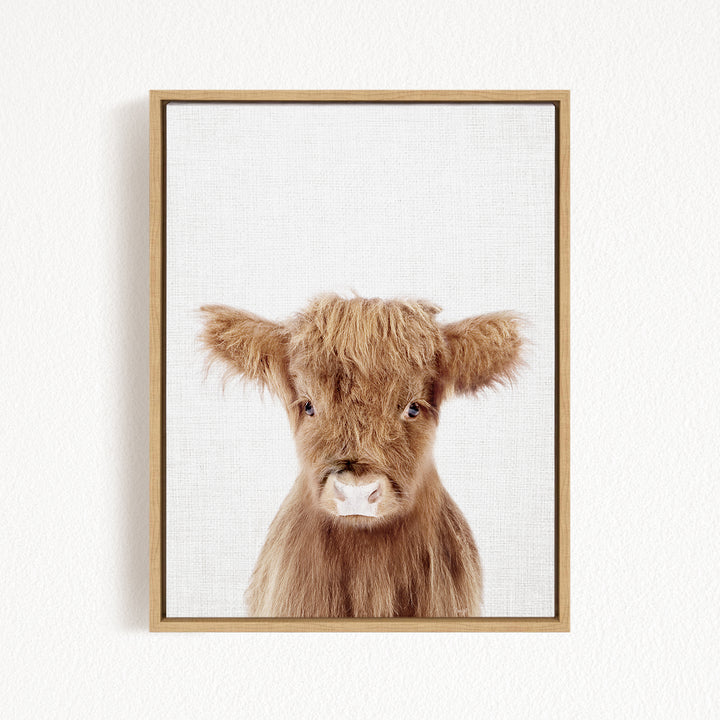 A framed image of a brown cow with shaggy fur and large, expressive eyes.