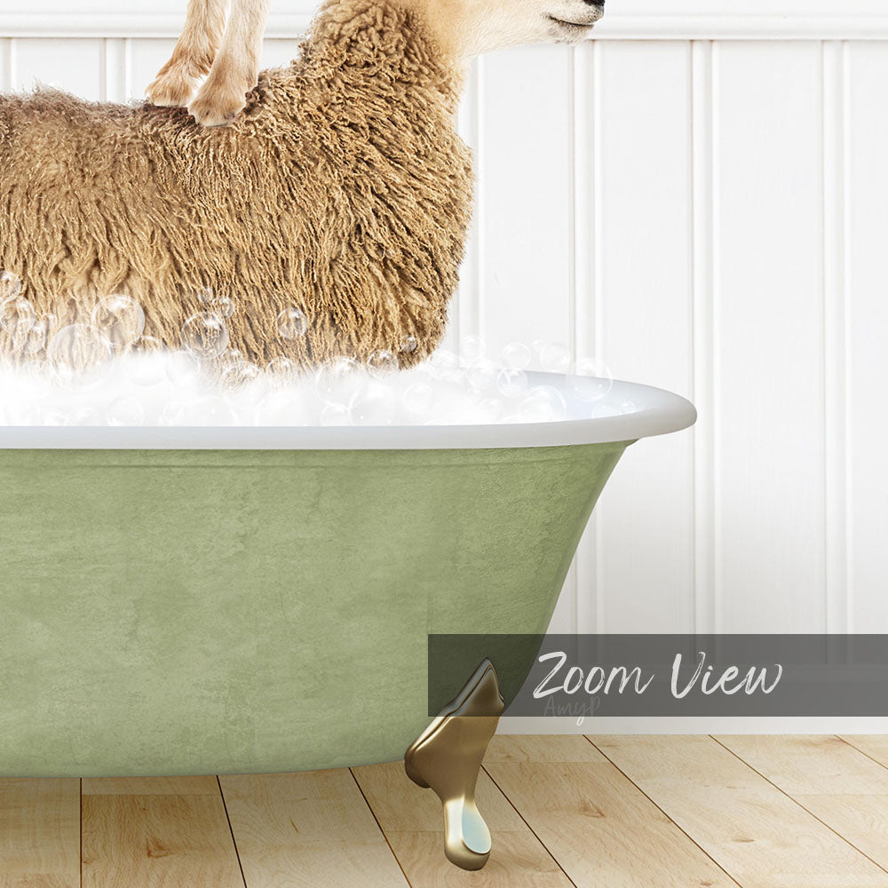 A sheep standing in a green bathtub filled with water, with bubbles around it.