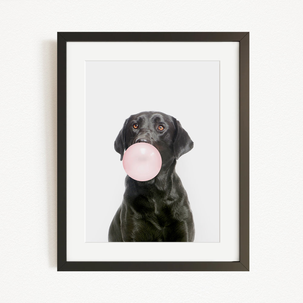 A black dog is blowing a pink bubble with its mouth, creating a playful and adorable scene.