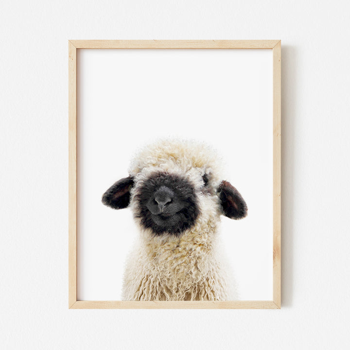 a black and white sheep in a wooden frame