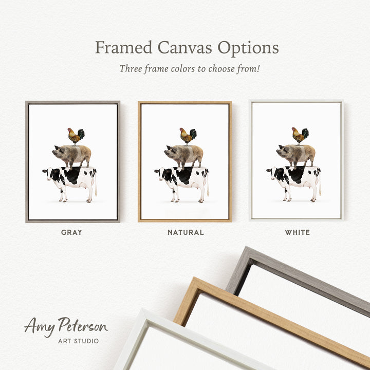three framed canvas options, each featuring a different color: gray, natural, and white. The text above the images reads " Framed Canvas Options" and "Three frame colors to choose from!". The text below the images reads "Grays", "NATURAL", and "WHITE". The artist's name, Amy Peterson, is also mentioned at the bottom of the image.
