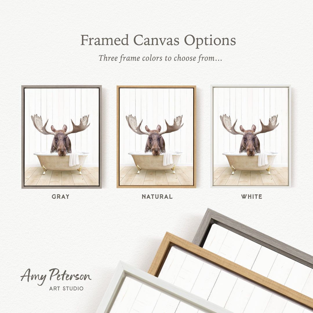The image is a framed canvas option featuring a moose in a bathtub, with three different frame colors to choose from: gray, natural, and white.