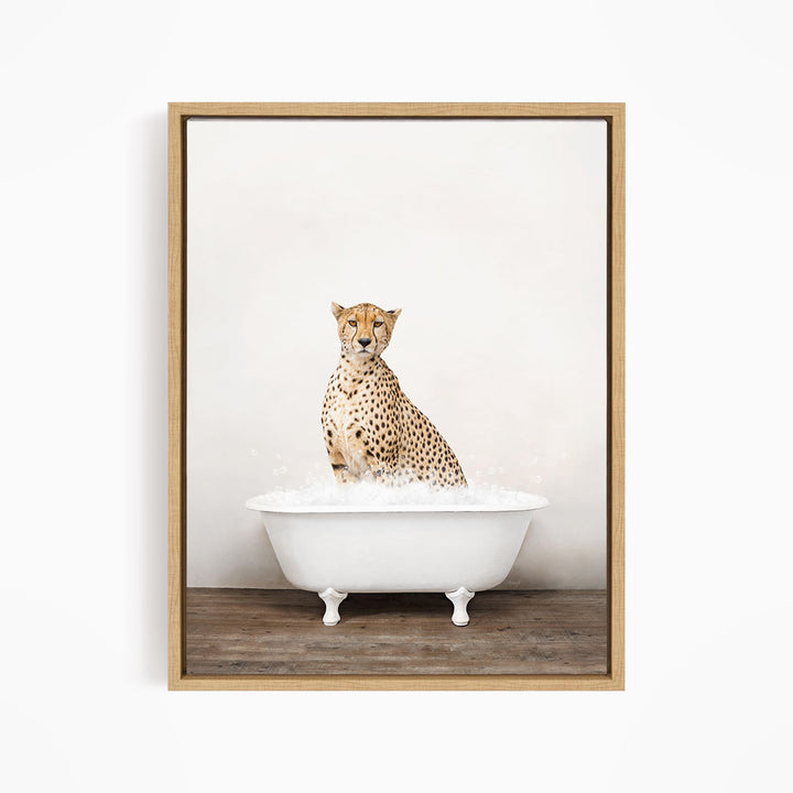 A cheetah sitting in a white bathtub filled with water.