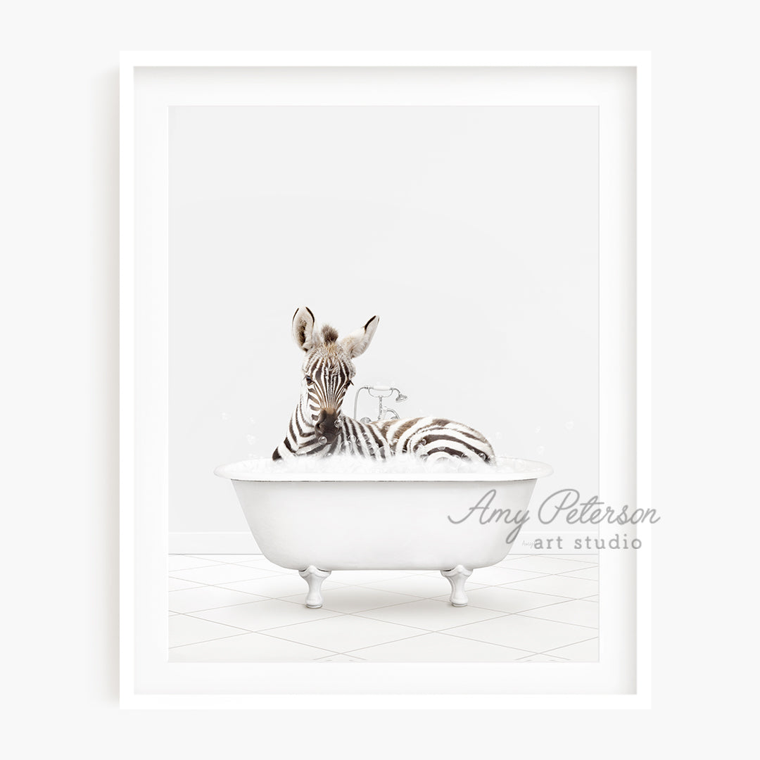 a zebra laying in a bathtub with a white background