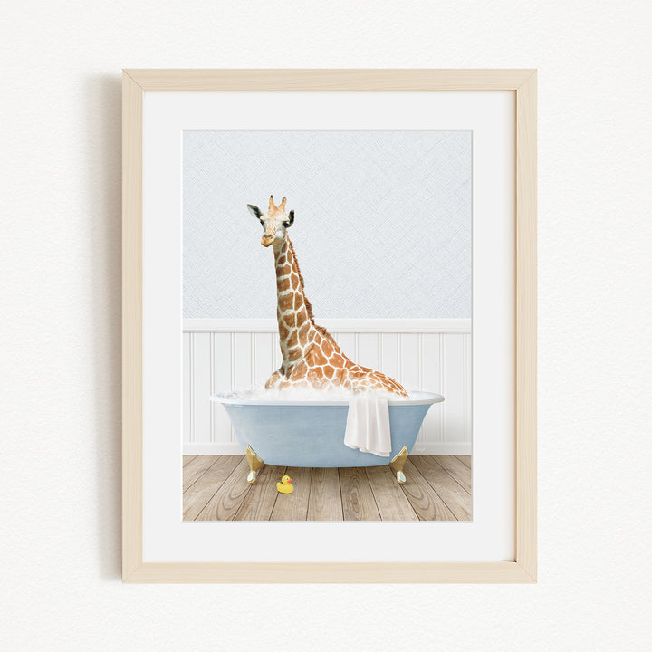 A giraffe sitting in a blue bathtub filled with water, surrounded by yellow rubber duckies.