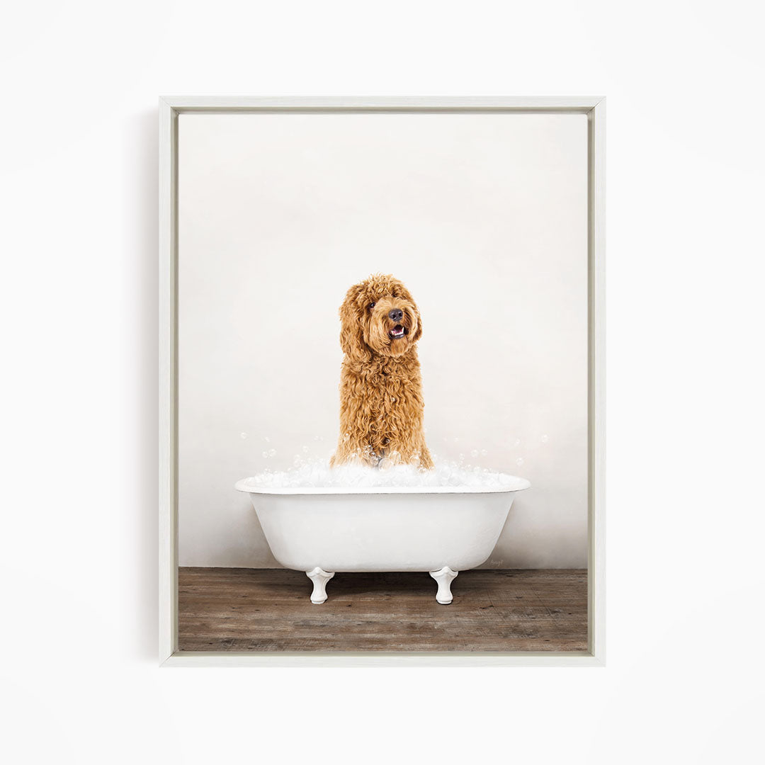 A brown dog sitting in a white bathtub filled with water, looking directly at the camera.