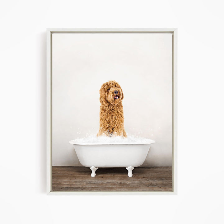 A brown dog sitting in a white bathtub filled with water, looking directly at the camera.