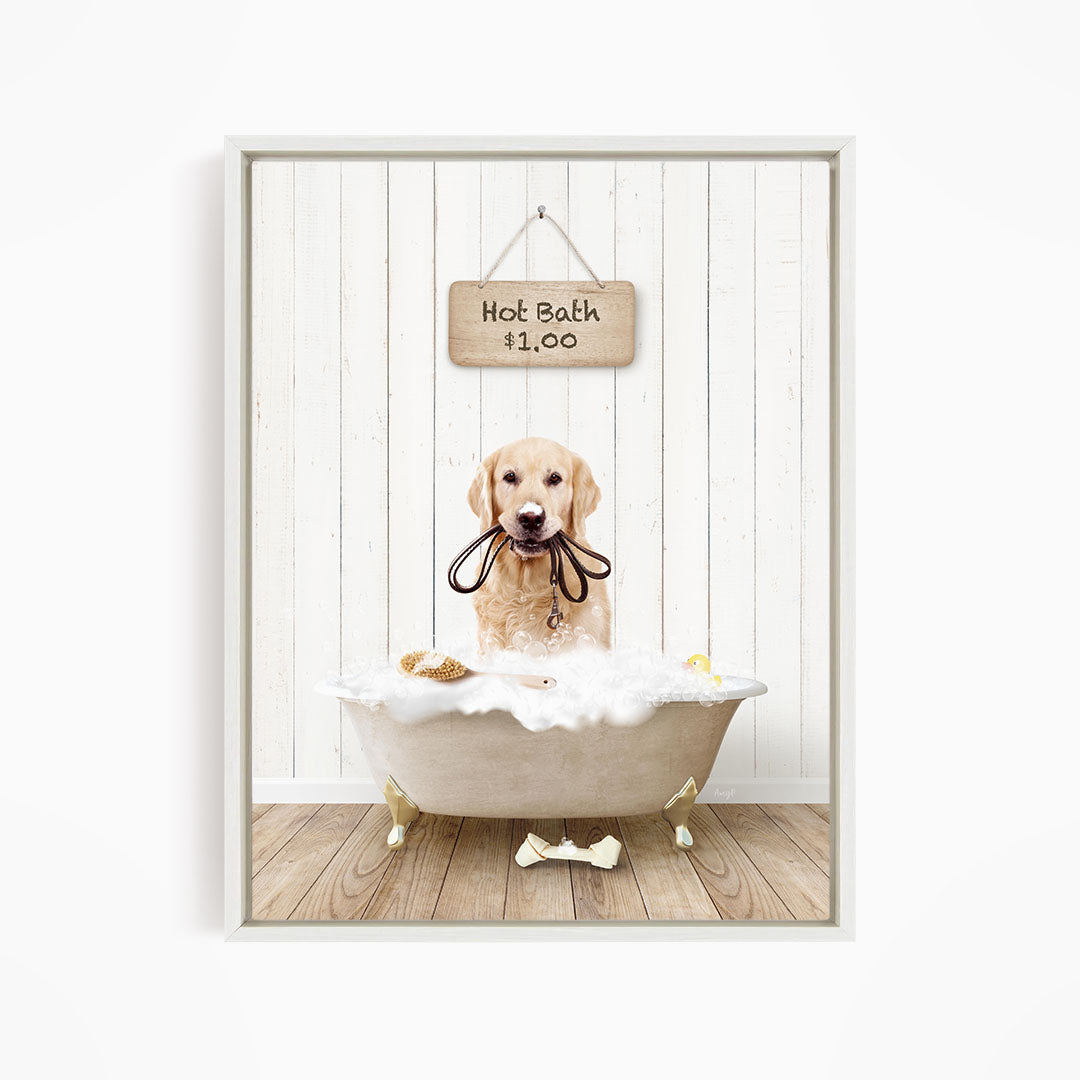 A golden retriever dog sitting in a white bathtub filled with bubbles, with a sign above the tub indicating a hot bath for $1.00.