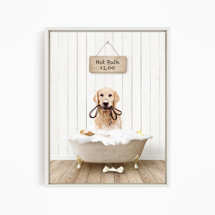 A golden retriever dog sitting in a white bathtub filled with bubbles, with a sign above the tub indicating a hot bath for $1.00.