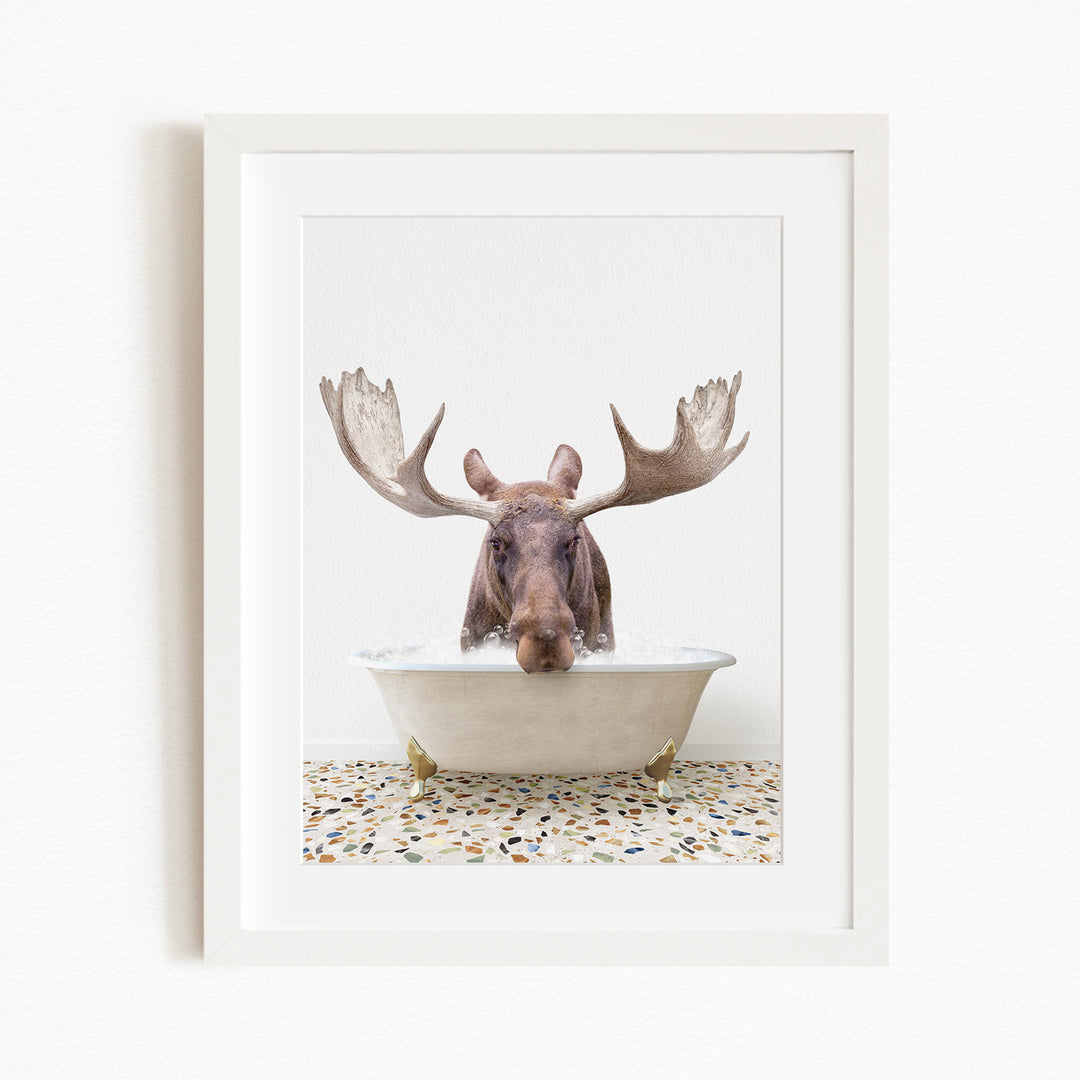 A moose with large antlers is sitting in a white bathtub, with its head submerged in the water.