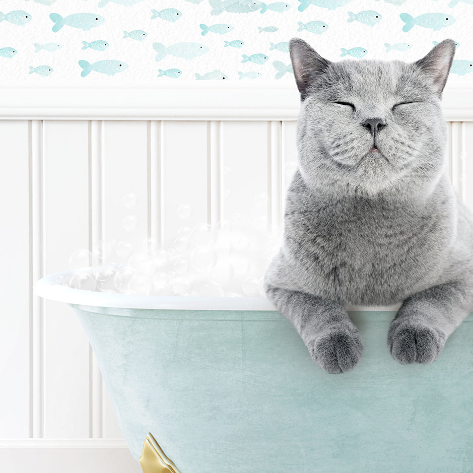 a gray cat sitting in a bathtub with bubbles