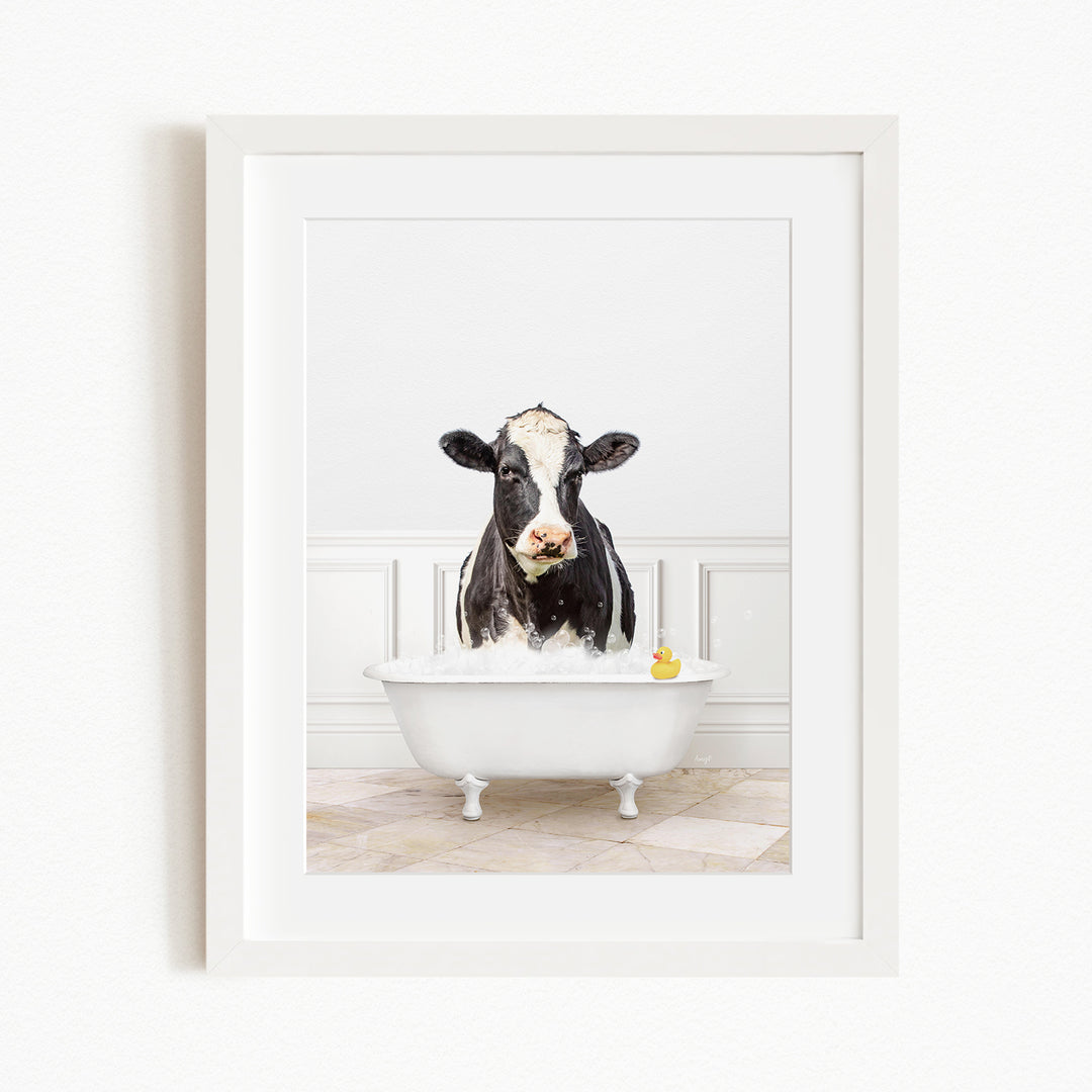 A black and white cow is sitting in a white bathtub filled with water, with a yellow rubber duck floating on the water.