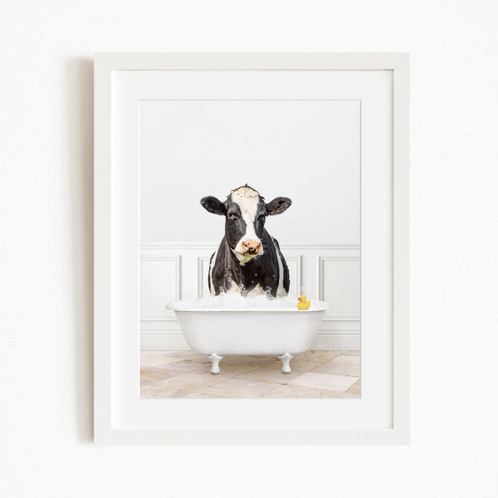 A black and white cow is sitting in a white bathtub filled with water, with a yellow rubber duck floating on the water.