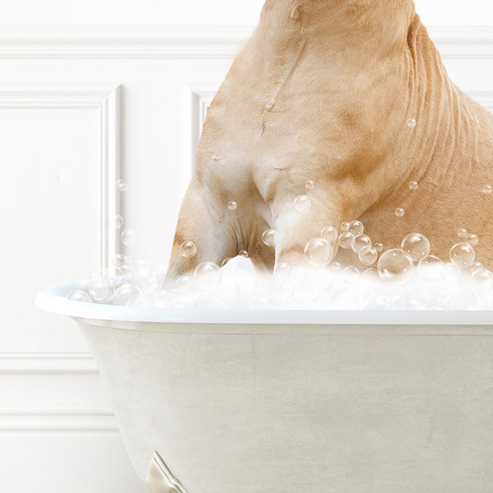 a dog sitting in a bathtub full of bubbles