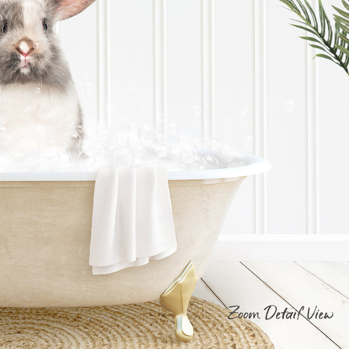 A fluffy gray and white rabbit sitting in a white bathtub filled with bubbles, with a towel and a plant nearby.
