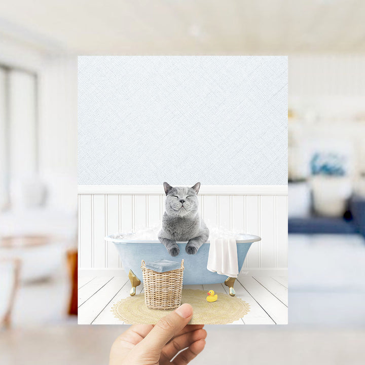 A gray cat sitting in a blue bathtub filled with bubbles, with a yellow rubber duck nearby.